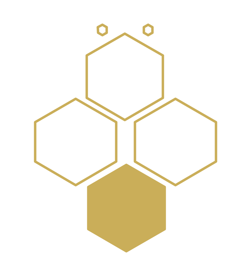 łasa pszczółka (2)